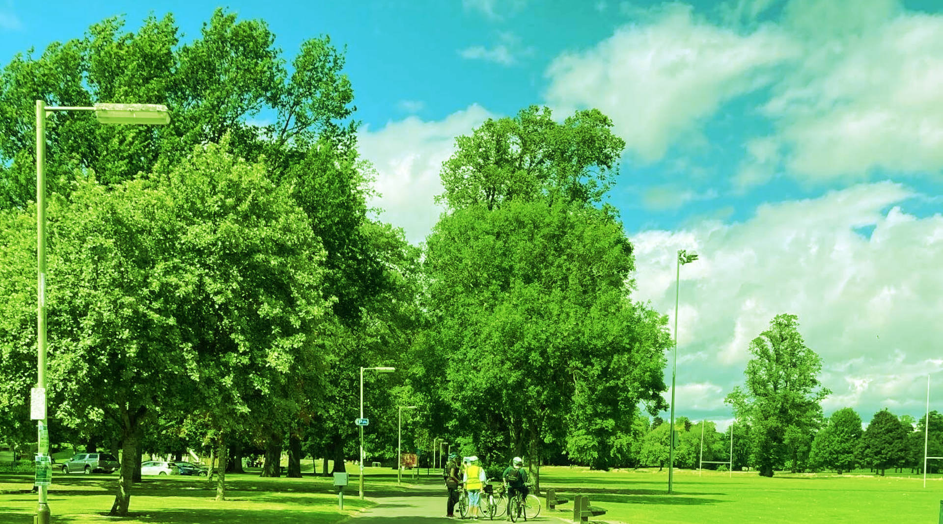 Cyclists in the park